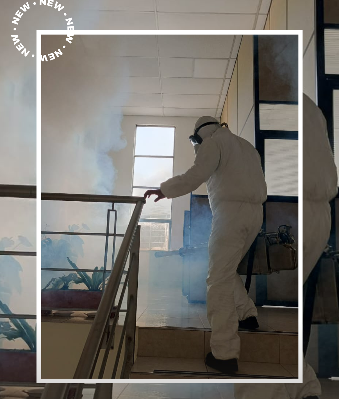 Winding mountain road